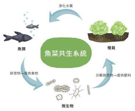 魚缸有不用換水的嗎視頻講解，如何選擇高效的魚缸過濾器魚缸換水頻率的最佳實踐觀賞魚健康養殖的秘訣