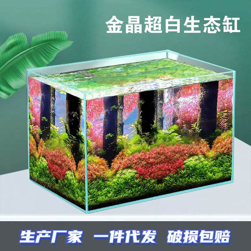 珠海魚缸 龍魚世家水族館都說好