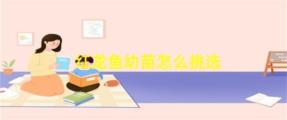 紅龍魚挑選幼苗的方法（怎樣挑選紅龍魚幼苗）