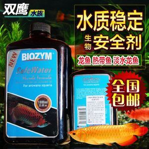 龍魚外細菌感染的主要癥狀包括鱗片顏色變化、立鱗、爛身和膚霉等：如何治療龍魚外細菌感染