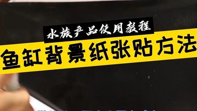 龍魚缸背景圖片帖什么樣的