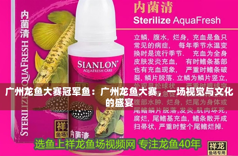 廣州龍魚大賽冠軍魚：廣州龍魚大賽，一場視覺與文化的盛宴