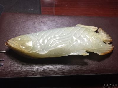 龍魚(yú)交易網(wǎng)概述（龍魚(yú)交易網(wǎng)是一個(gè)專(zhuān)注于龍魚(yú)交易的平臺(tái)） 龍魚(yú)交易網(wǎng)概述（龍魚(yú)交易網(wǎng)是一個(gè)專(zhuān)注于龍魚(yú)交易的平臺(tái)） 龍魚(yú)百科 第2張