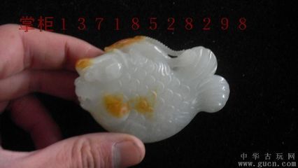 龍魚(yú)交易網(wǎng)概述（龍魚(yú)交易網(wǎng)是一個(gè)專(zhuān)注于龍魚(yú)交易的平臺(tái)） 龍魚(yú)交易網(wǎng)概述（龍魚(yú)交易網(wǎng)是一個(gè)專(zhuān)注于龍魚(yú)交易的平臺(tái)） 龍魚(yú)百科 第1張