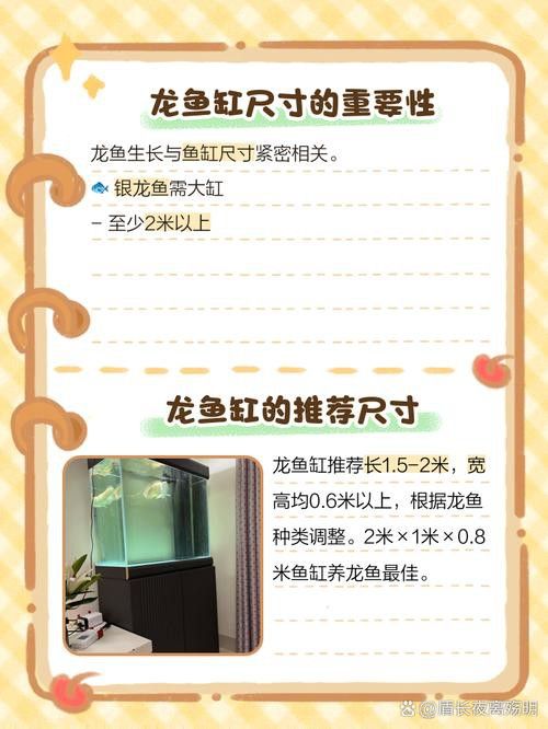 40厘米的魚缸能養龍魚嗎