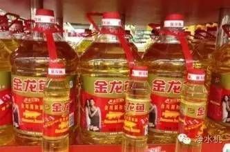 金龍魚有黃金嗎值錢嗎（金龍魚為什么不含有黃金）