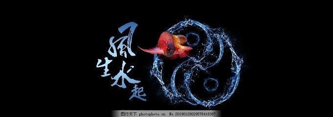 紅龍魚魚缸用什么壁紙顏色（如何搭配紅龍魚魚缸裝飾，紅龍魚魚缸壁紙圖案選擇）