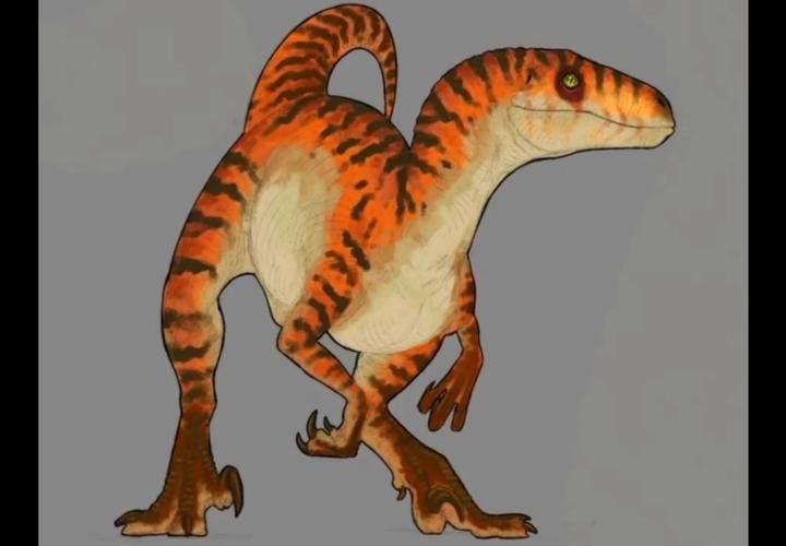 恐龍魚的特點有哪些圖片 恐龍魚的特點有哪些圖片 龍魚百科 第7張