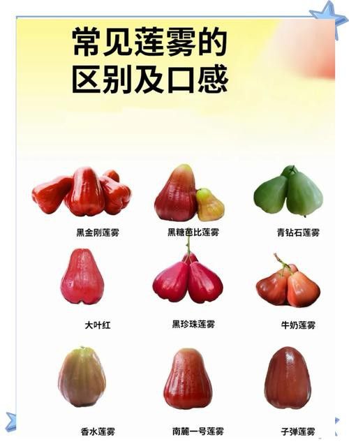 恐龍魚的特點有哪些圖片 恐龍魚的特點有哪些圖片 龍魚百科 第32張