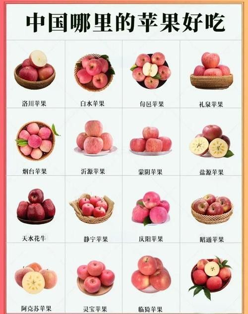 恐龍魚的特點有哪些圖片 恐龍魚的特點有哪些圖片 龍魚百科 第40張