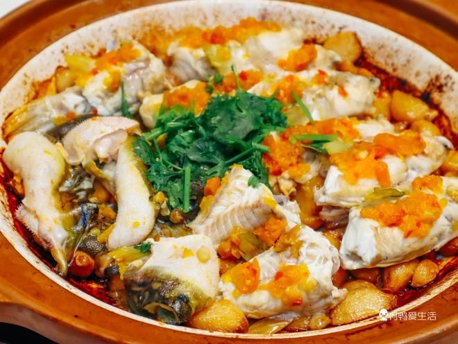 龍魚肉能吃嗎有營養嗎有毒嗎：龍魚肉可以食用嗎，龍魚肉能吃嗎有營養嗎