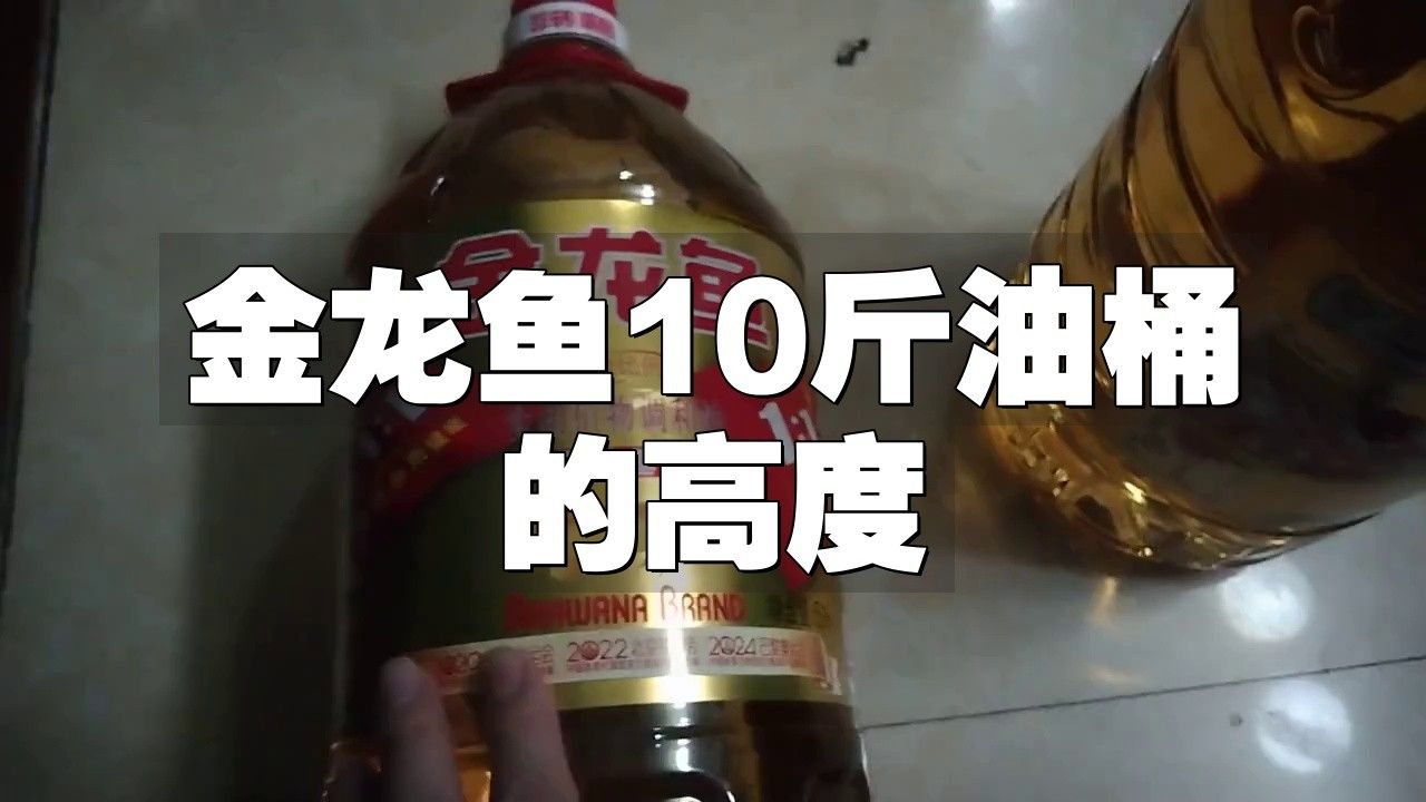 金龍魚餐飲專用油10l 金龍魚餐飲專用油10l 龍魚百科 第1張