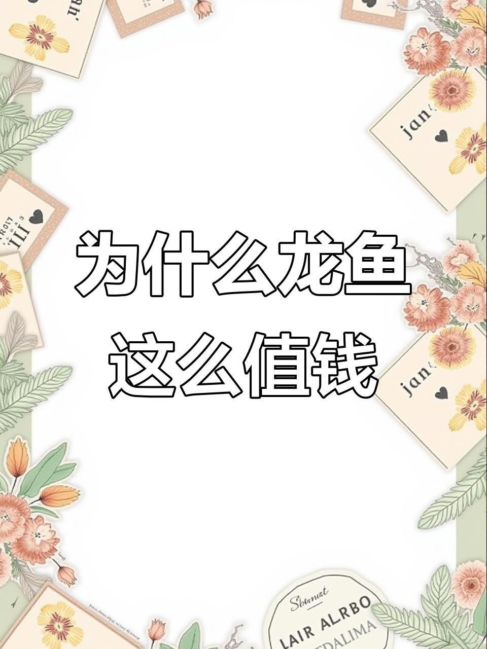 龍魚為什么那么貴 龍魚為什么那么貴 龍魚百科 第1張