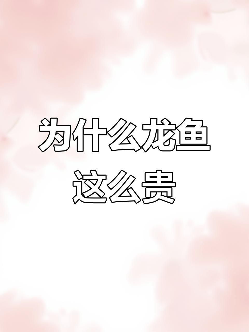 龍魚為什么那么貴 龍魚為什么那么貴 龍魚百科 第6張
