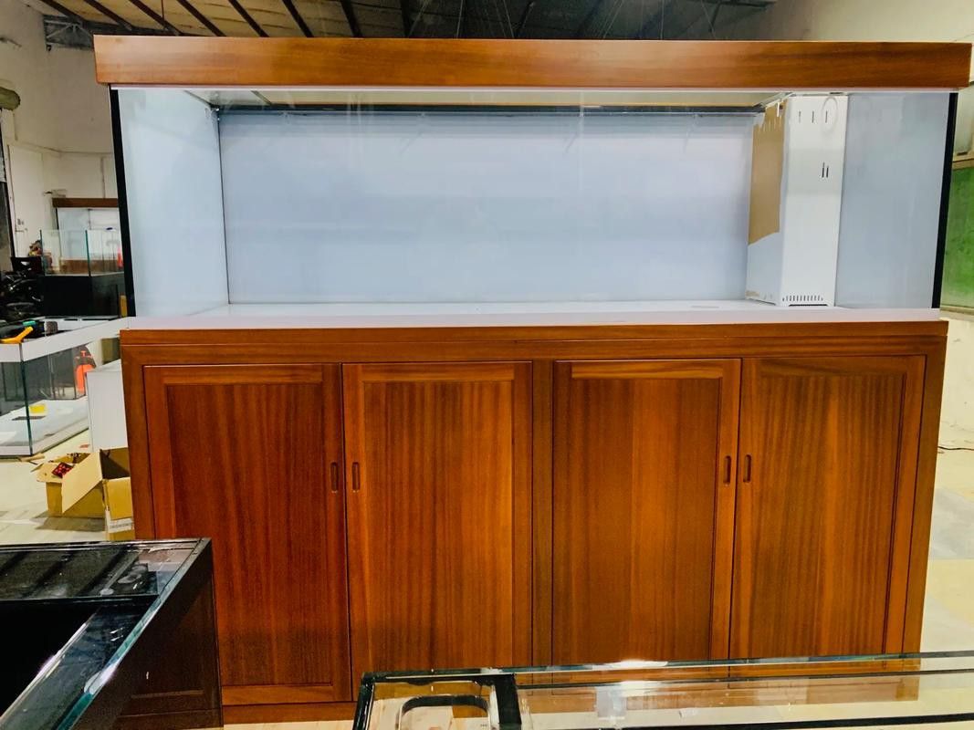 能否推薦幾款適合養紅龍魚的魚缸？ 能否推薦幾款適合養紅龍魚的魚缸？ 龍魚百科 第1張