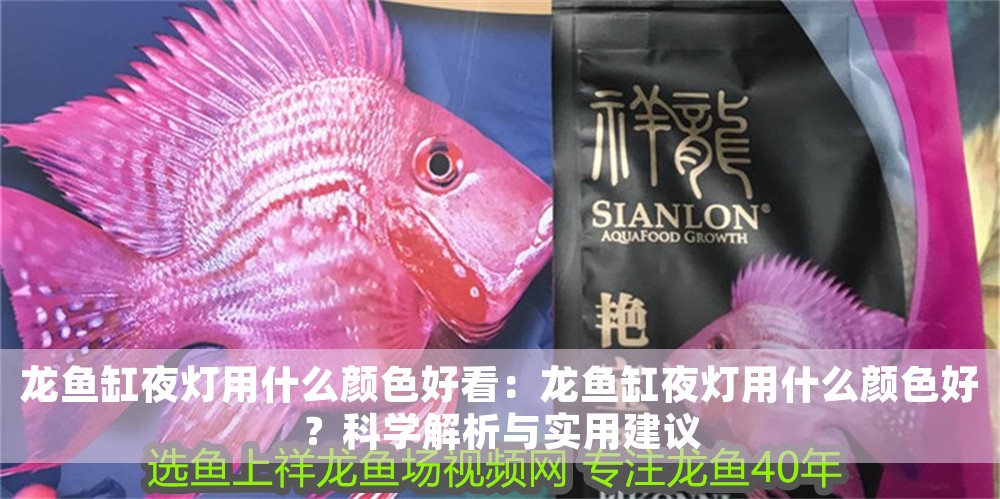 龍魚缸夜燈用什么顏色好看：龍魚缸夜燈用什么顏色好？科學解析與實用建議