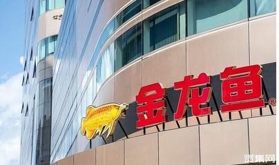 金龍魚經營模式（金龍魚的經營模式）