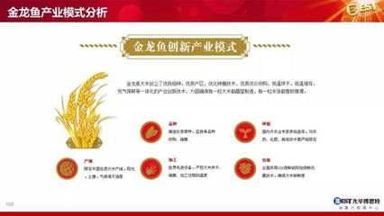 金龍魚經營模式（金龍魚的經營模式）