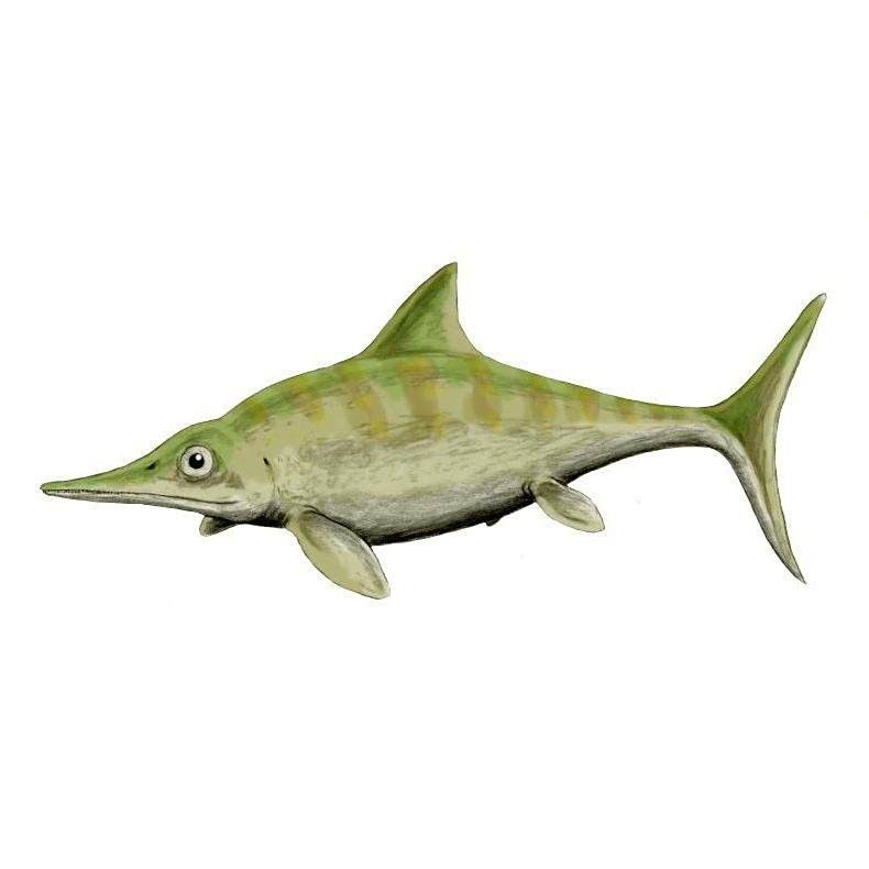 再給我一些魚龍的屬和種
