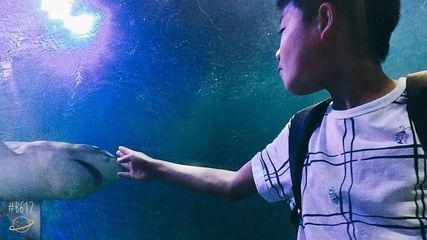 金龍魚養(yǎng)多大才能變色，金龍魚變色期飲食指南，