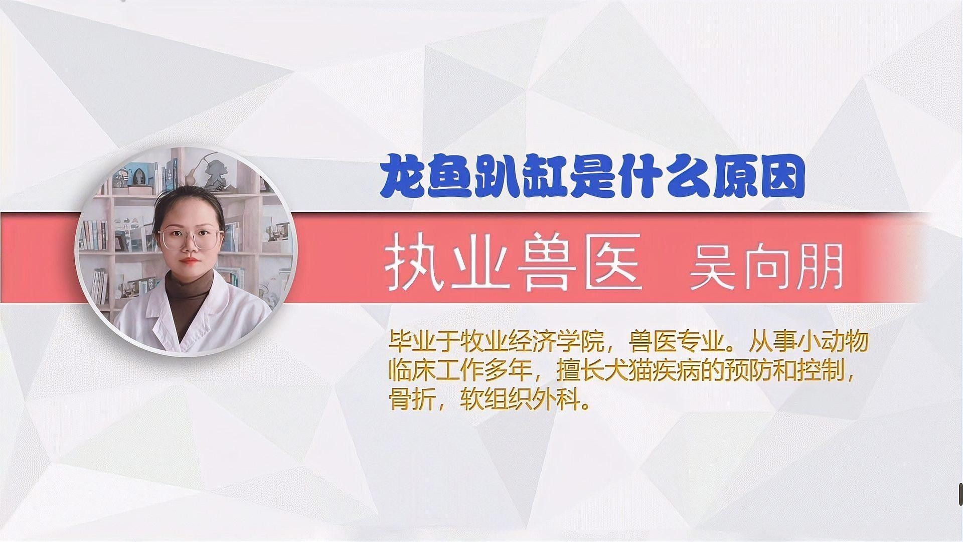 龍魚換水之后趴缸 龍魚換水之后趴缸 龍魚百科 第1張