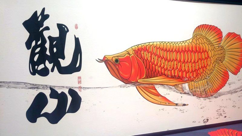 紅龍魚壁紙適合哪些裝修風格？