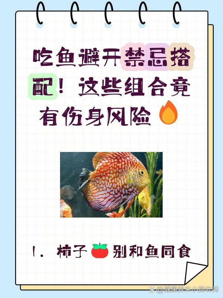 賽級藍底魚最忌三種食物