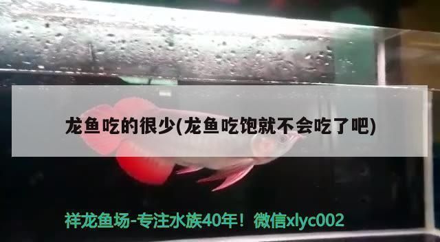 龍魚的藥可以給其他魚用嗎：-龍魚專用藥治療龍魚食欲下降的原因及解決方法