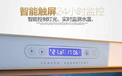 龍魚缸冬天應該保持多少水溫：龍魚水溫多少合適水溫對龍魚的水溫保持31度可以嘛