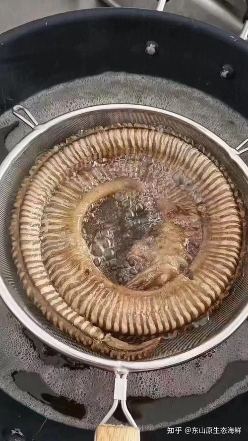 淡水土龍魚圖片大全