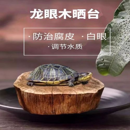 龍魚缸沉木材質(zhì)有哪些選擇？