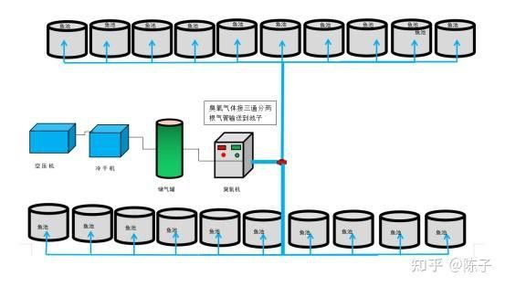 紅龍魚幼苗用臭氧可以嗎