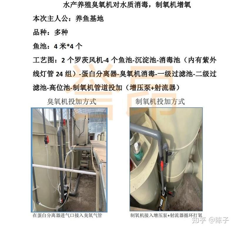 紅龍魚幼苗用臭氧可以嗎