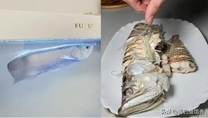龍魚什么味道最好：龍魚與草魚口感對比如何挑選新鮮龍魚與草魚口感對比