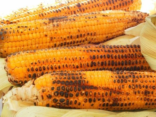 龍魚收鰭趴缸：龍魚收鰭趴缸后食欲減退怎么判斷龍魚是否藥物中毒
