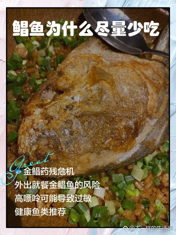 金鰭鯧魚被國家禁養(yǎng)了 龍魚百科 第6張 金鰭鯧魚被國家禁養(yǎng)了 金鰭鯧魚被國家禁養(yǎng)了 龍魚百科 第6張