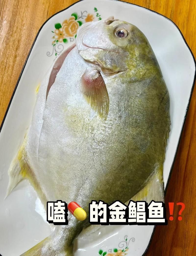 金鰭鯧魚被國家禁養(yǎng)了 龍魚百科 第4張 金鰭鯧魚被國家禁養(yǎng)了 金鰭鯧魚被國家禁養(yǎng)了 龍魚百科 第4張