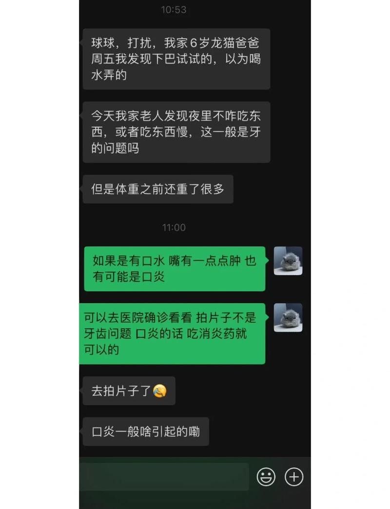 龍貓流口水可能是什么原因 龍貓流口水可能是什么原因 龍魚百科 第3張