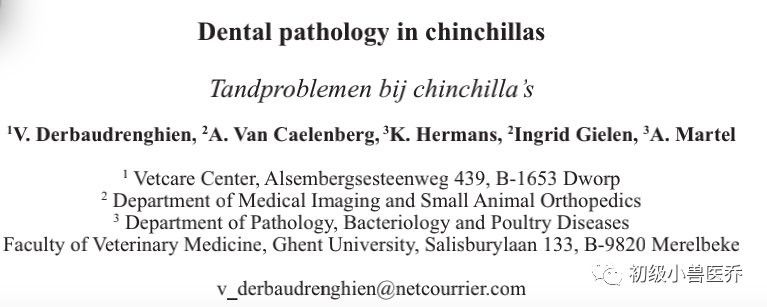 龍貓流口水可能是什么原因 龍貓流口水可能是什么原因 龍魚百科 第2張