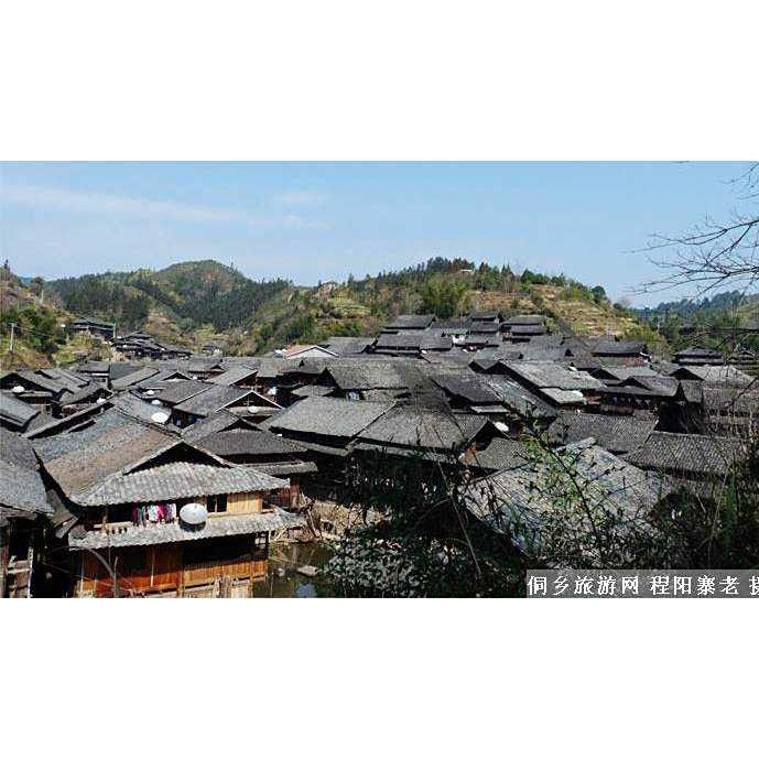 雷龍村的人口數(shù)量是多少？