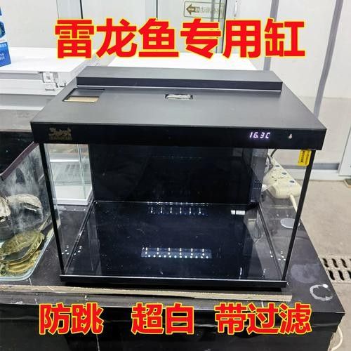 雷龍魚60的缸