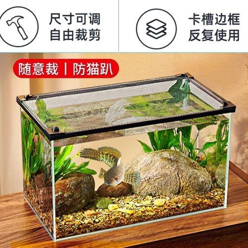 雷龍魚60的缸