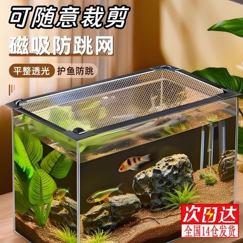 雷龍魚60的缸