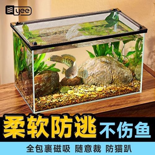 雷龍魚60的缸