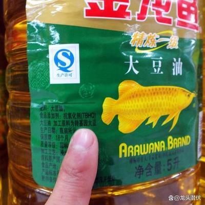 巴雷特金龍魚的價格：巴雷特金龍魚價格 巴雷特金龍魚的價格：巴雷特金龍魚價格 龍魚百科 第3張