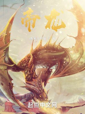 帝龍小說主要講述了什么故事？