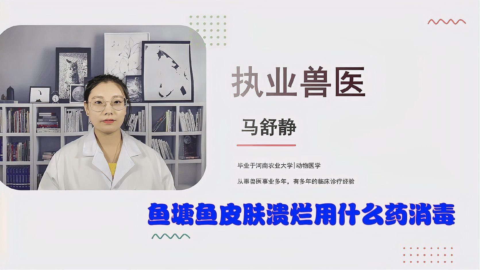 銀龍魚身體潰爛怎么辦