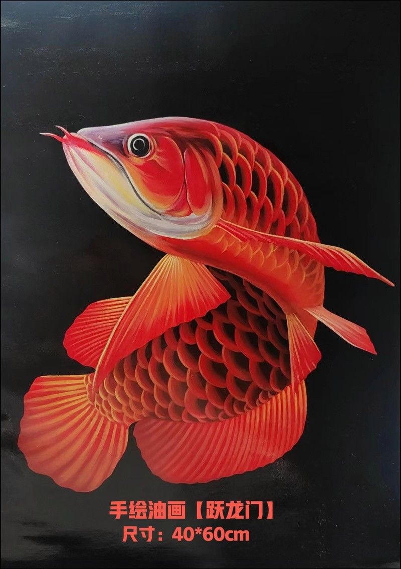 龍魚壁紙超清
