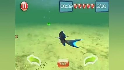 龍魚搖頭怎么回事：龍魚搖頭可能由多種因素引起，