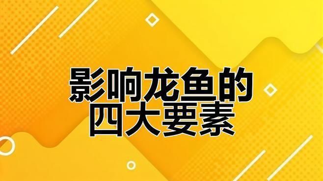 龍魚水質(zhì)差會得病嗎 龍魚水質(zhì)差會得病嗎 龍魚百科 第5張